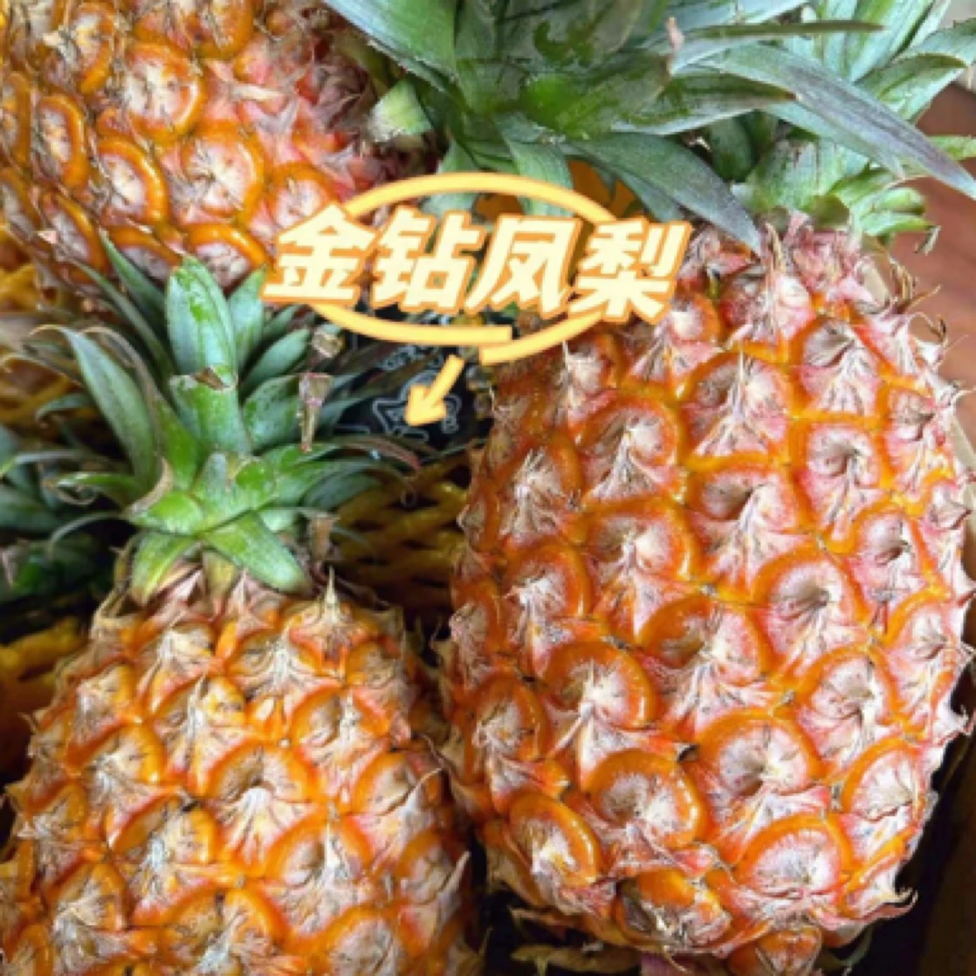 金钻凤梨1个(包削皮)菠萝神仙吃法