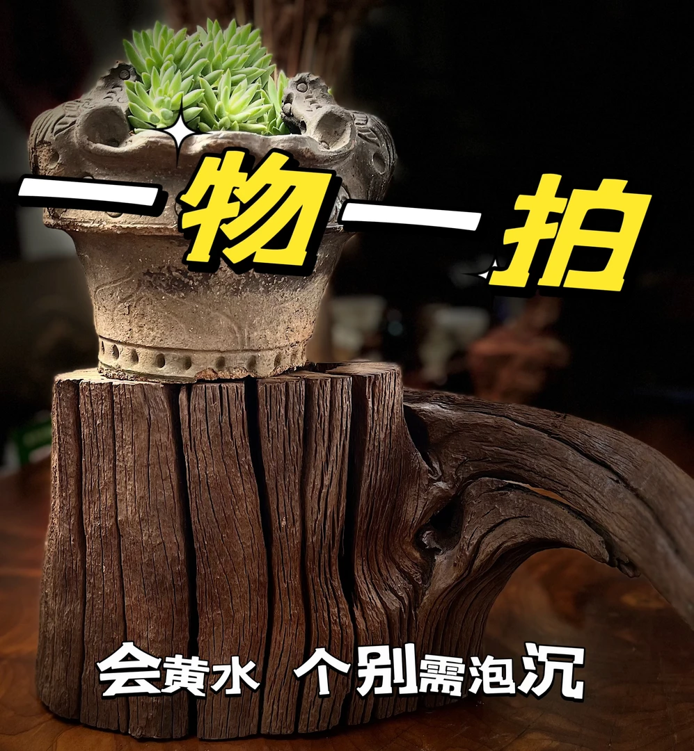 沉木爆裂纹碳化黑料鱼缸造景 会黄水介意勿拍