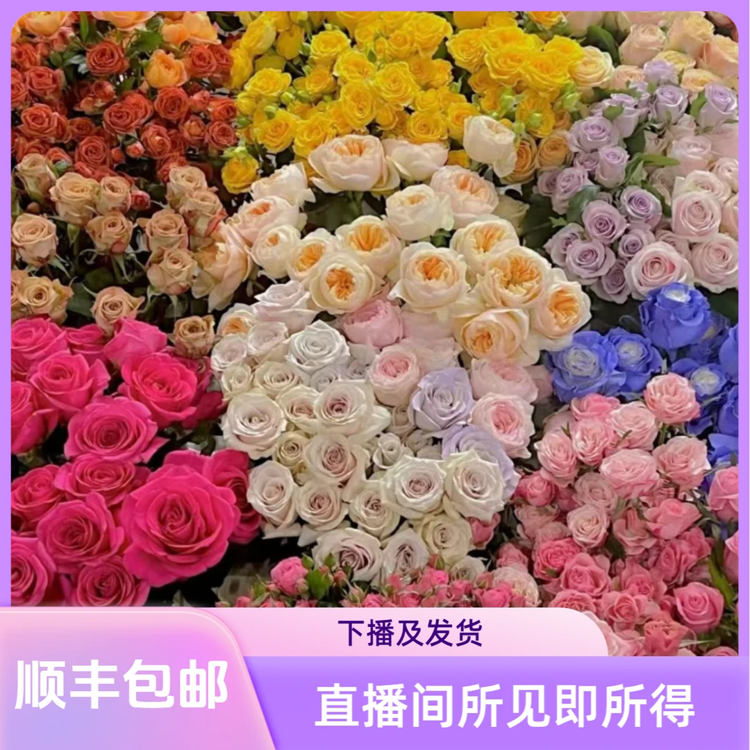 B06 梦幻芭比10只＋蜜桃雪山20只＋泰勒10只＋上官10只