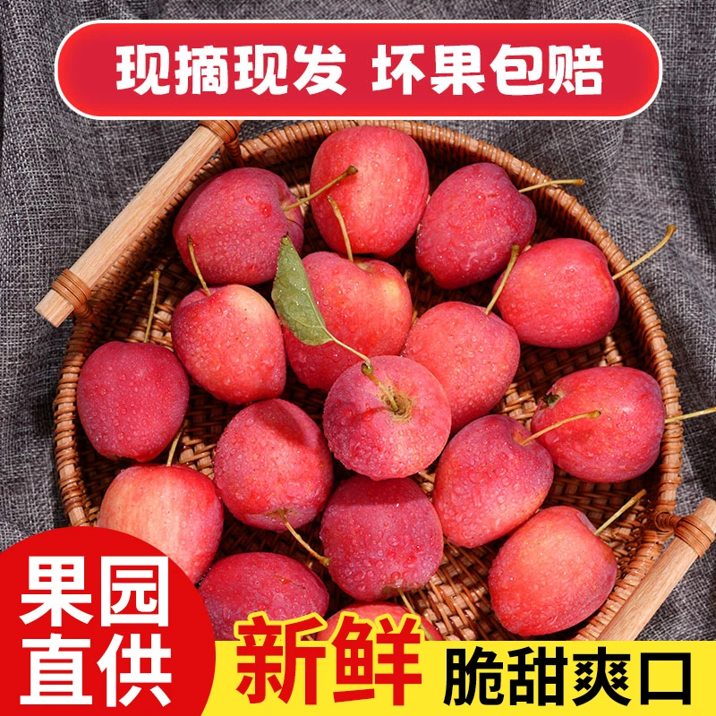 鸡心果小苹果现摘现发鲜新鲜应季水果酸甜可口果肉细腻多汁包邮