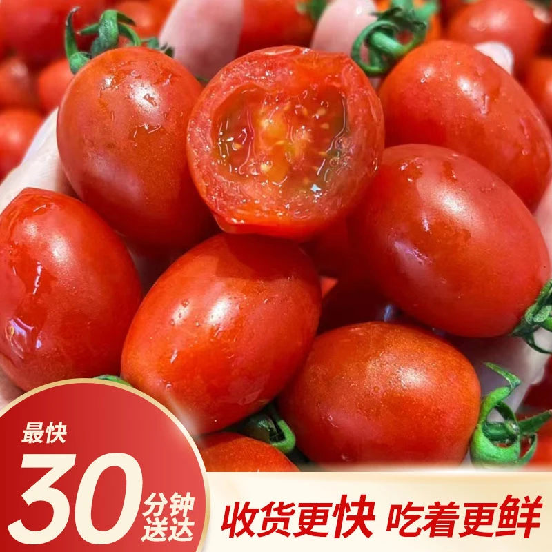 【小时达】花生小番茄【1斤】装 饱满多汁