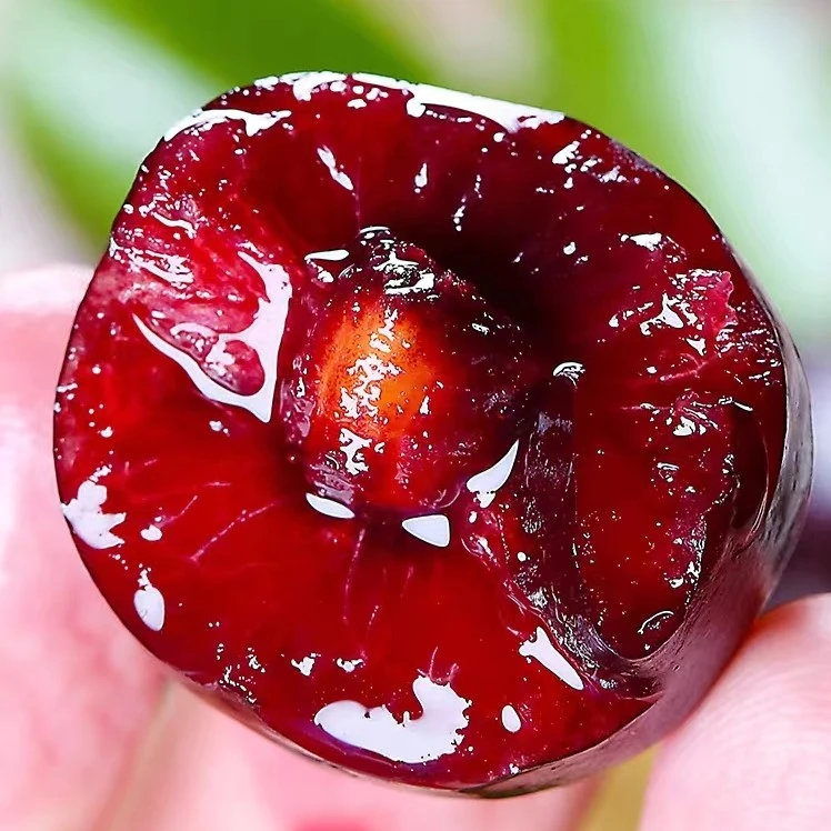 【小时达】智利空运车厘子【5斤原箱装】4JD-5JD 新鲜脆甜  肉厚核小其他品种智利