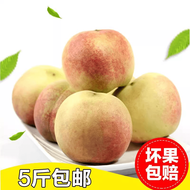【坏果包赔】山东青州蜜桃蜜桃5斤(25-30个)桃子青州蜜桃脆甜新鲜