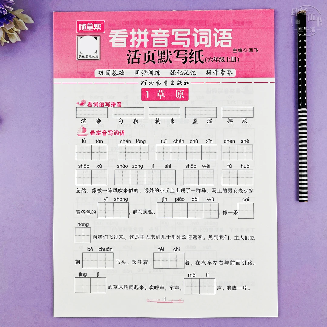 语文六年级上册看拼音写词语专项训练六年级语文看拼音活页默写纸