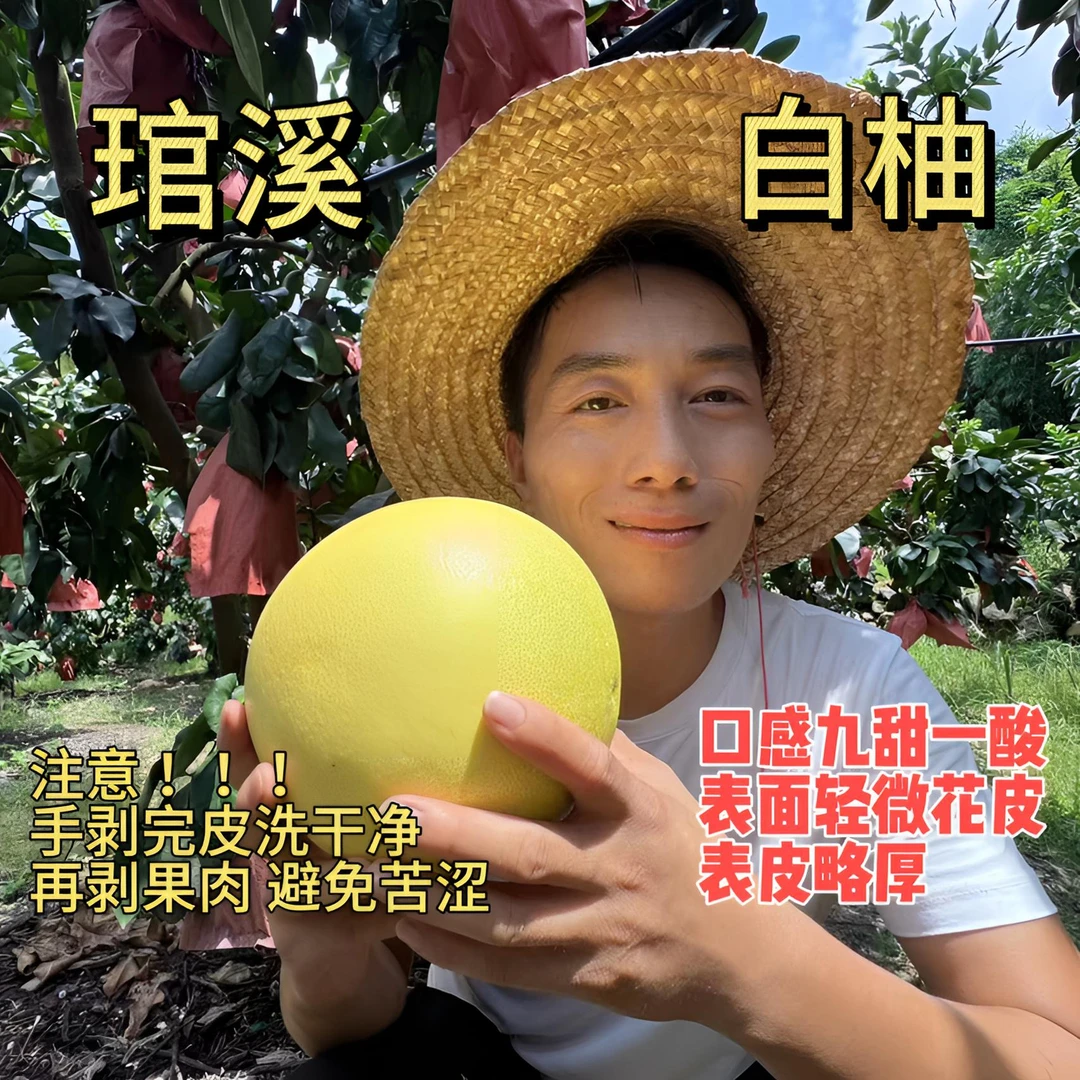 福建平和琯溪老树白肉蜜柚味香甘甜微酸多汁