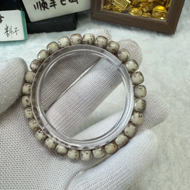海南星月菩提石玉料，糯冰河豚8*7
