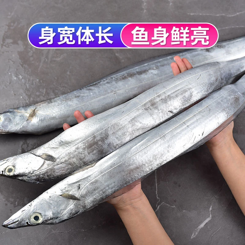 【4斤新鲜特大带鱼2-4条/4斤】广东特产新鲜大带鱼特大带鱼好吃肉厚