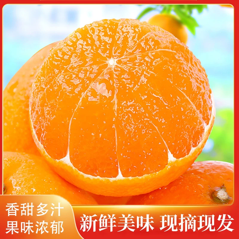 爱媛果冻橙，自家种植