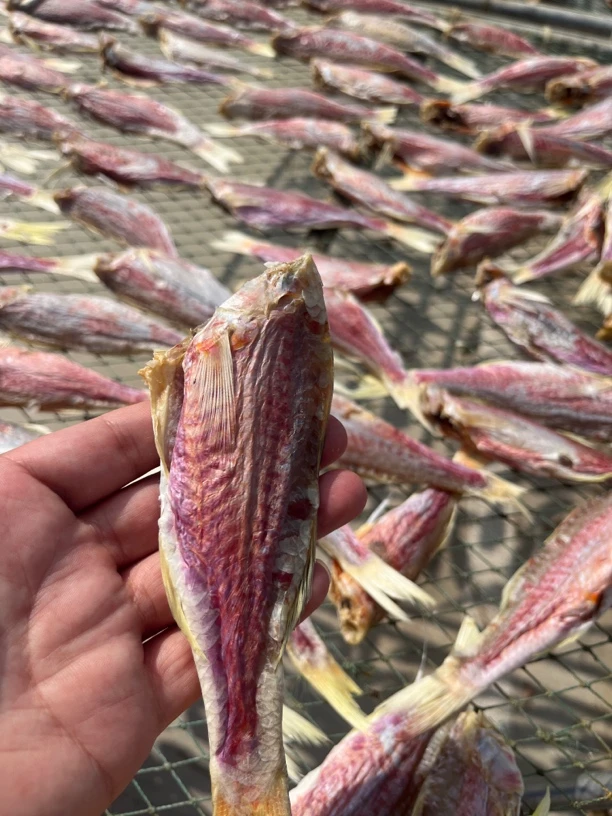 燕燕海产广东阳江沙扒湾特产淡干红鱼干红指笔包邮