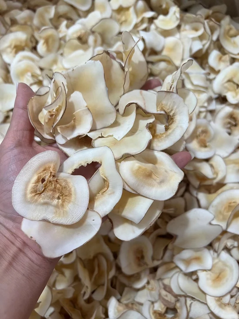 海底椰片足干250克包邮