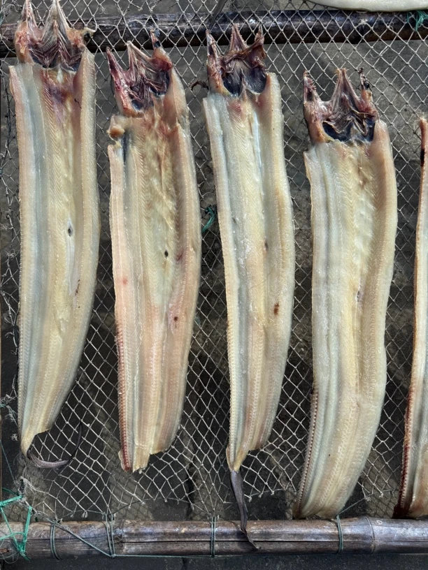 舟山本地淡晒鳗鱼干4-5两每条 7成干整条鳗鱼鲞海鳗干海鲜干货