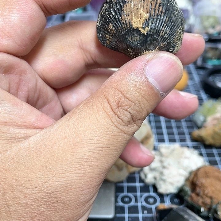 水晶水晶柱未镶嵌山****泉
