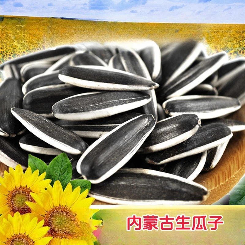 【 净重2斤无干燥剂】内蒙原味生瓜子原味生葵花籽颗粒饱熟生的瓜子