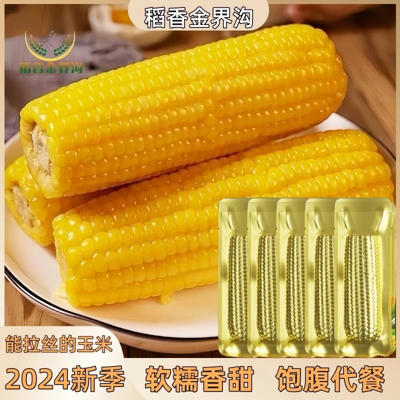 【试吃3根】新季东北黄糯玉米250克-320克*10根香甜软糯