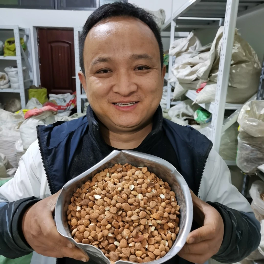 苦杏仁甘肃带皮北杏仁原产地直发 去皮苦杏仁河北种植无硫干杏仁