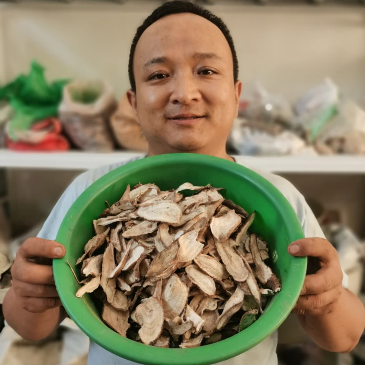 白蔹 湖北白蔹 白根五爪藤 种植的已切片大小片都有