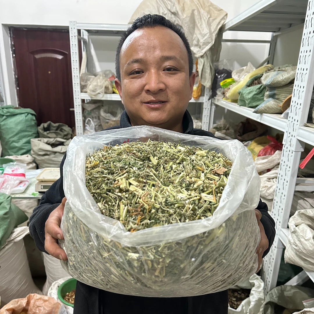 益母草 甘肃益母草 非种植的已切段