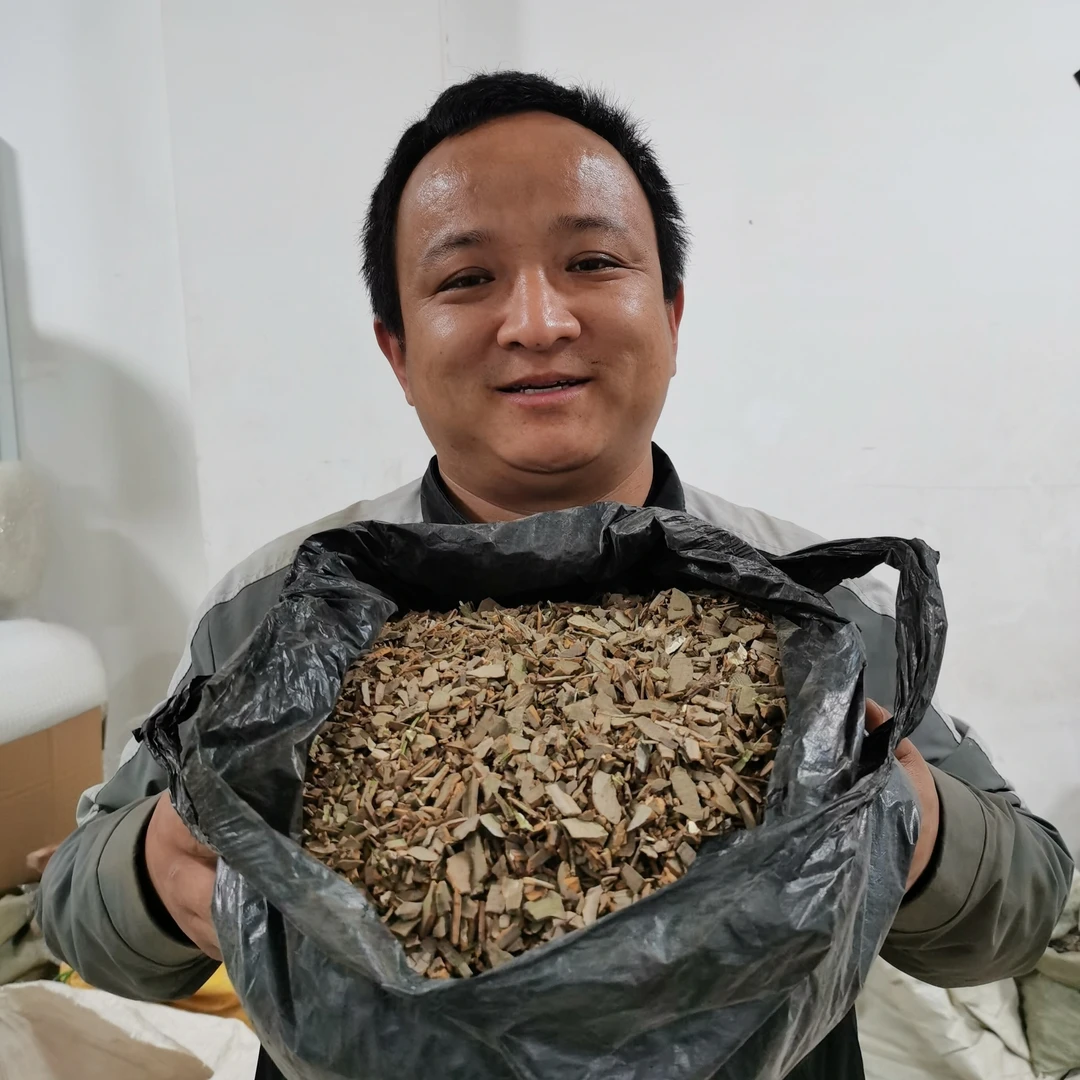 鬼箭羽 甘肃鬼箭羽 鬼见愁卫矛大山里采摘非种植的根