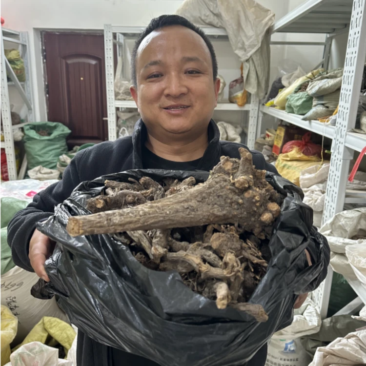 地榆 甘肃地榆 大山里采挖非种植的整根的没水洗有泥土
