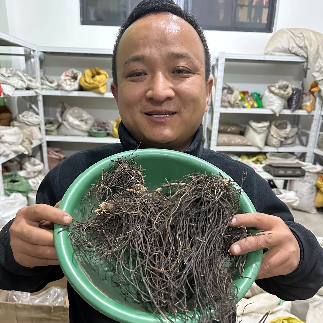 威灵仙 东北威灵仙 铁脚威灵仙种植的整根大小断根都有