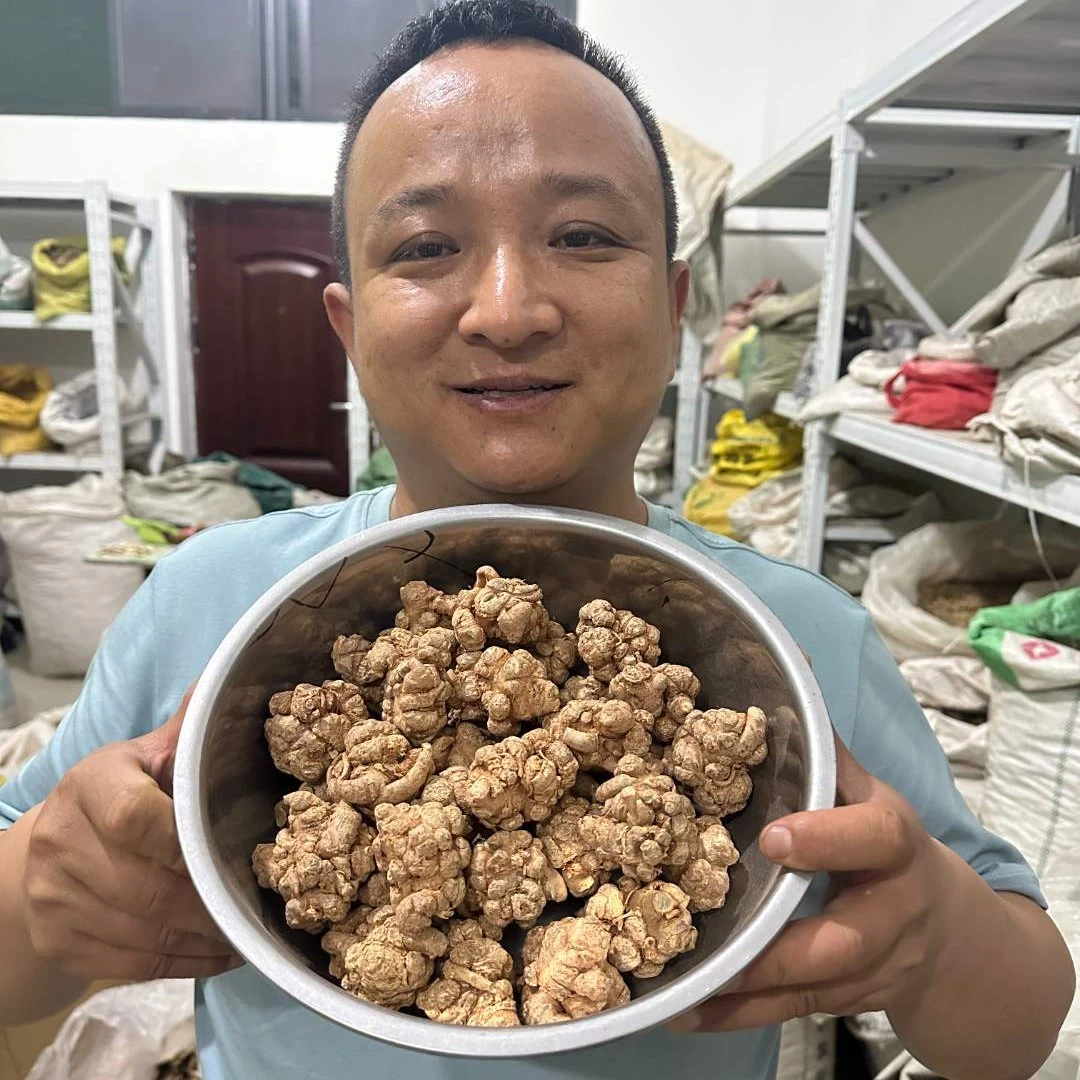三气 云南种植的整颗的