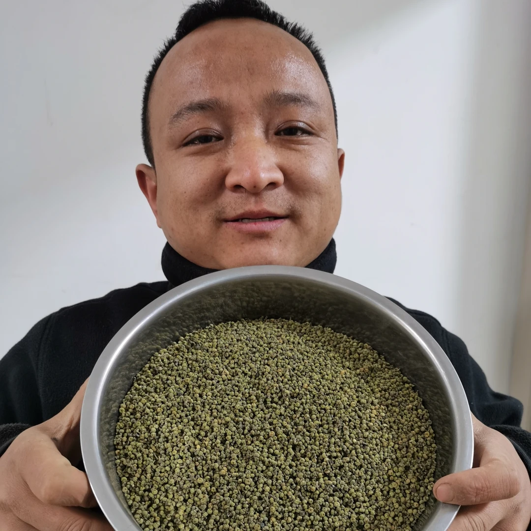 吴茱萸 贵江西吴茱萸 生的种植的 青吴茱萸吴萸小颗粒的 瓜