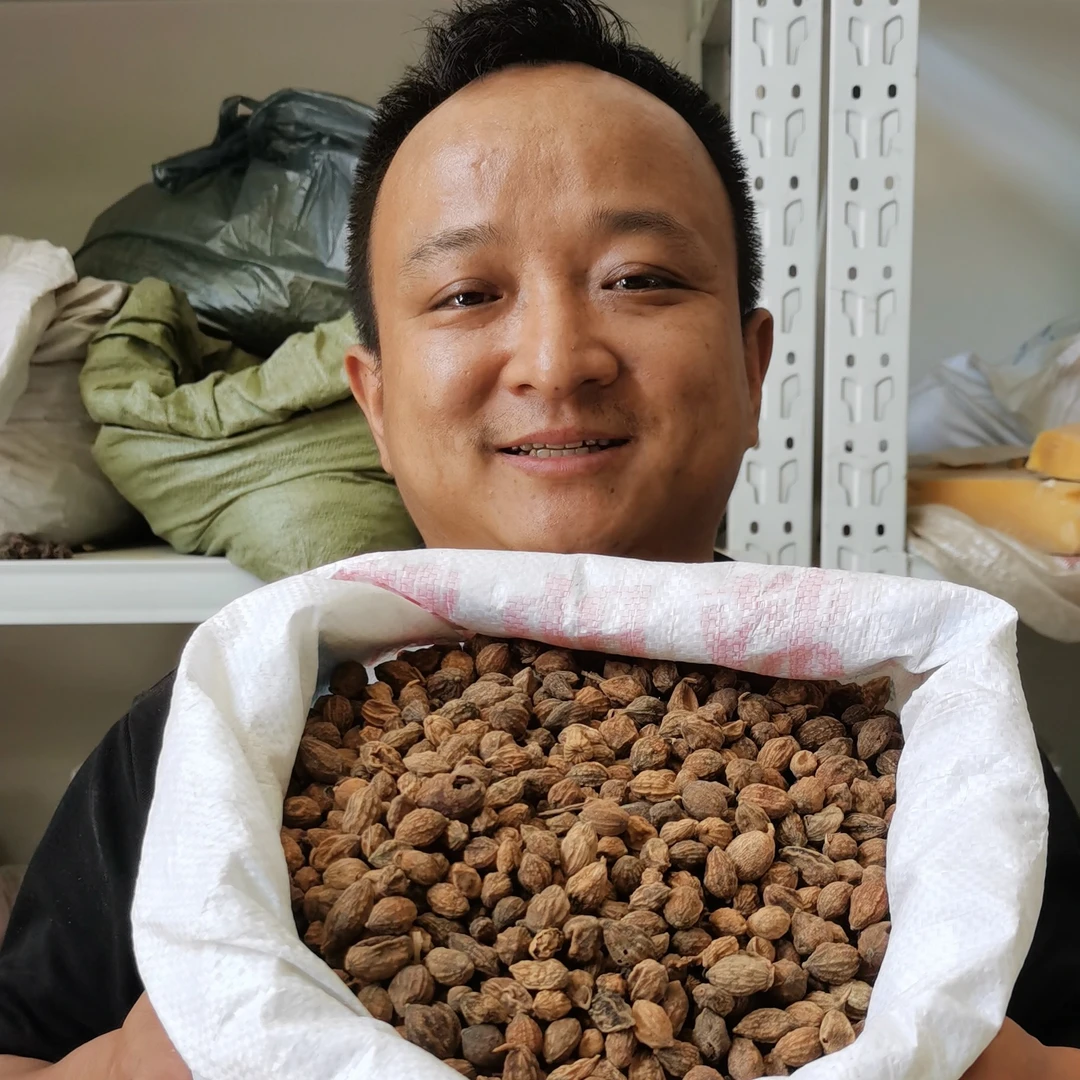 益智仁 海南种植益智仁 生的带壳