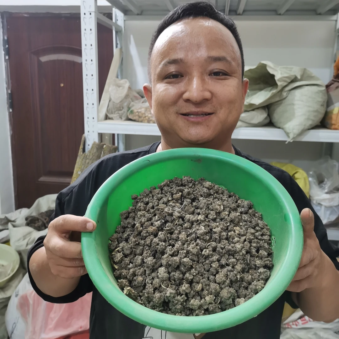 猫爪草 河南猫爪草 猫爪儿草种植的整颗的