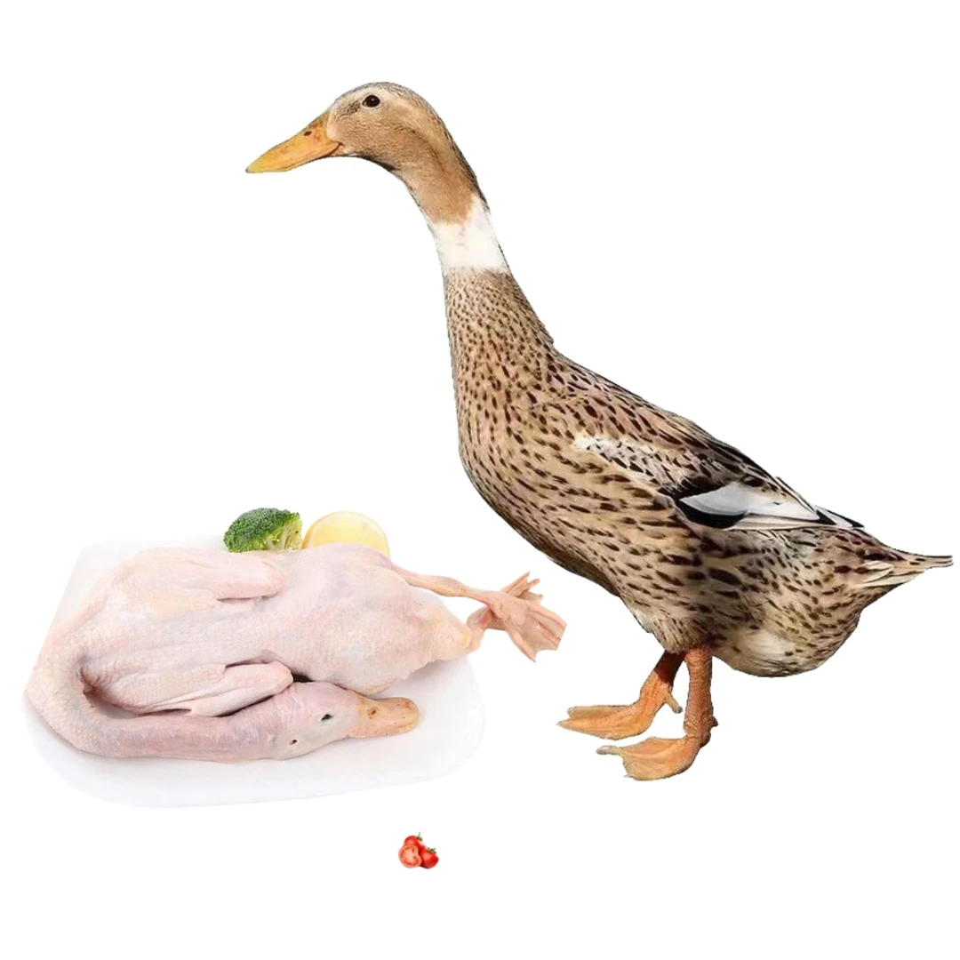 【大牛家】放养100天土鸭仔鸭子  2只净重共4斤  肉质鲜嫩  非老鸭