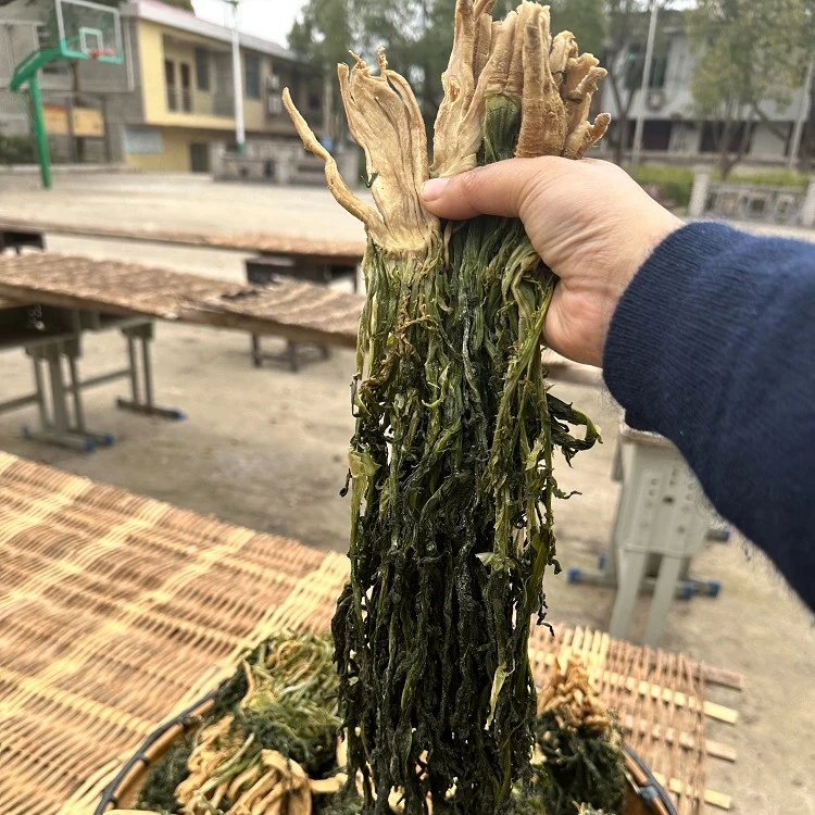 坛芝味湖南手工干盐菜 大头菜盐菜   250克/包散装