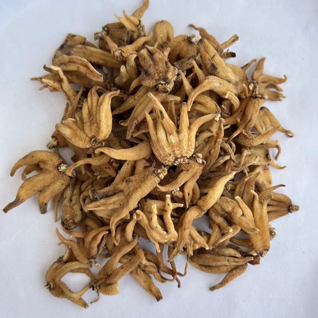 （小雪收好货）现收土特产 佛-手-参 100-500克食用农产品
