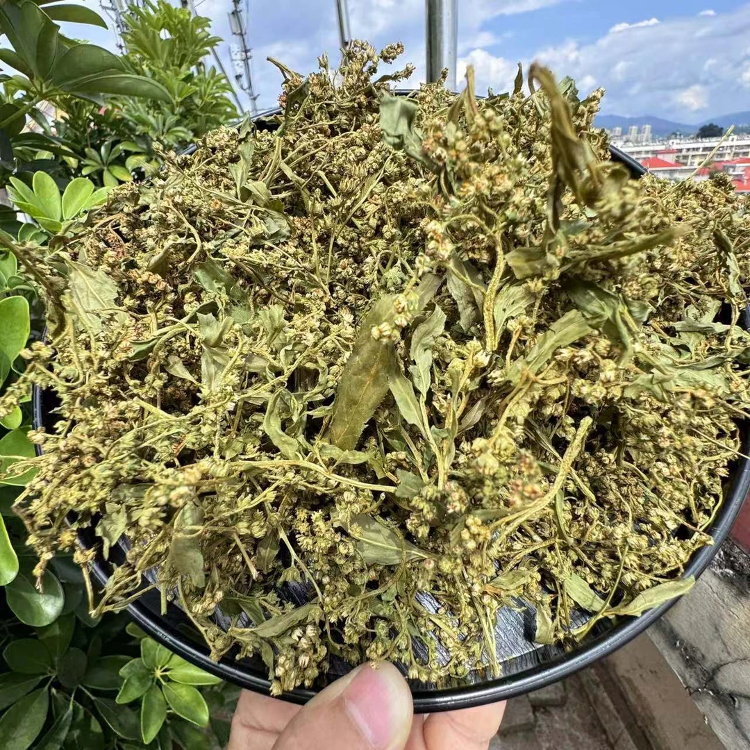 【小雪収好货】现-收土特产  赶-黄-草 150克- 500克食用农产品