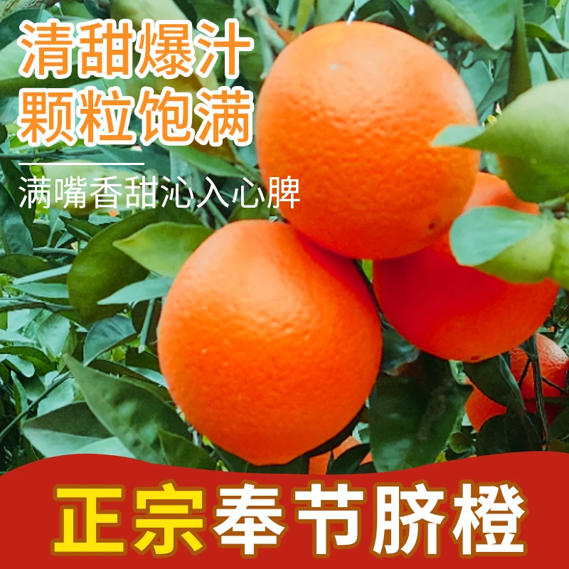 奉节脐橙20斤果园直发京东顺丰包邮  全福品