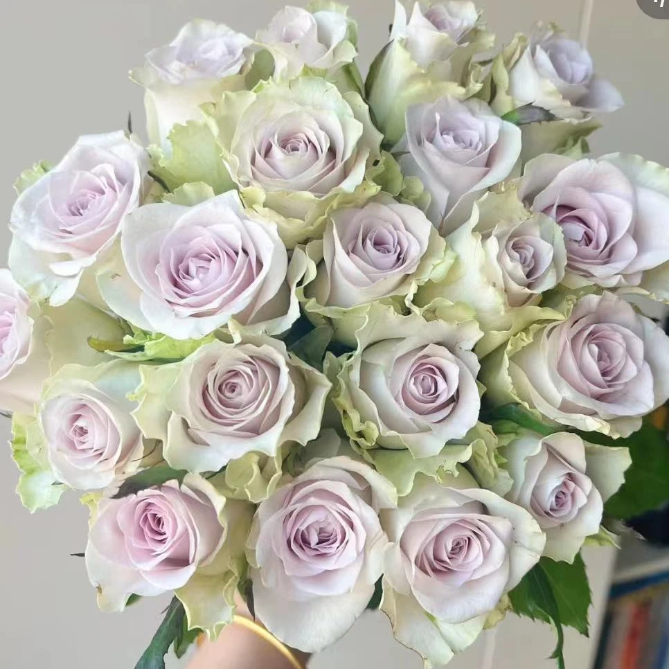 海洋之心【两单及以上升级顺丰】云南鲜花  家庭插花