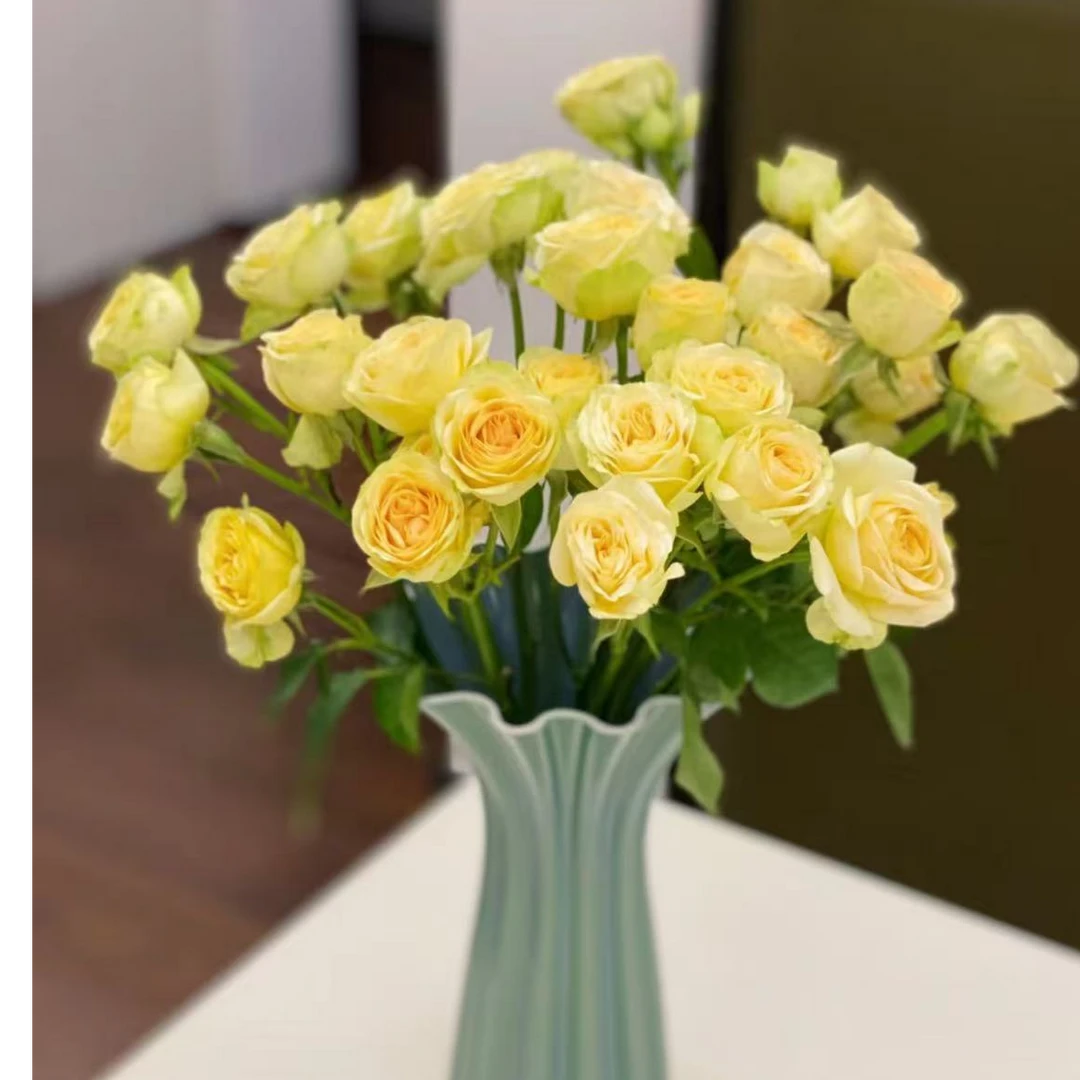 牛油果多头玫瑰【两单及以上升级顺丰】云南鲜花  家庭插花