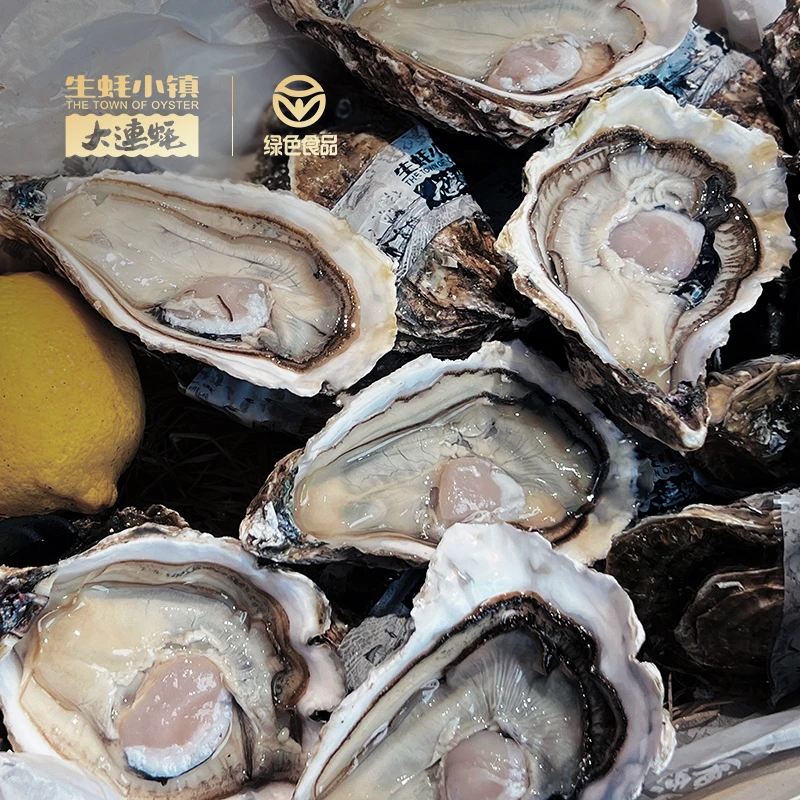 生蚝小镇 正宗大连刺身生蚝 2500g/箱 绿色食品认证 优质海洋出产