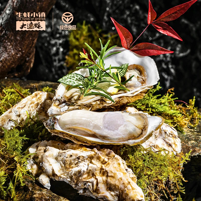 生蚝小镇 正宗大连刺身生蚝 2500g/箱 绿色食品认证 优质海洋出产