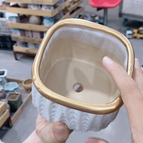 陶瓷20CM以下D80白色方盆