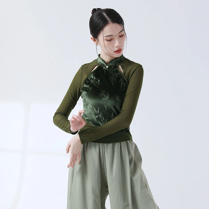 古典舞春秋新款成人女舞蹈上衣修身网纱舞蹈服丝绒现代舞练功服
