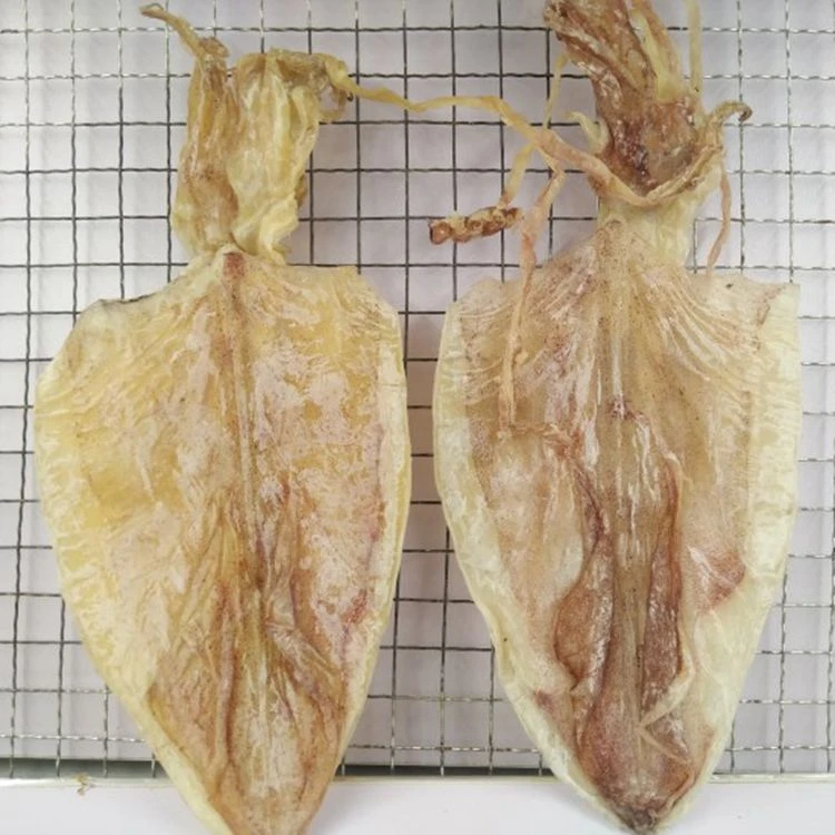 批发量大拿货价北海烧烤鱿鱼干芥末手撕淡干碳烤大小尤鱼干货
