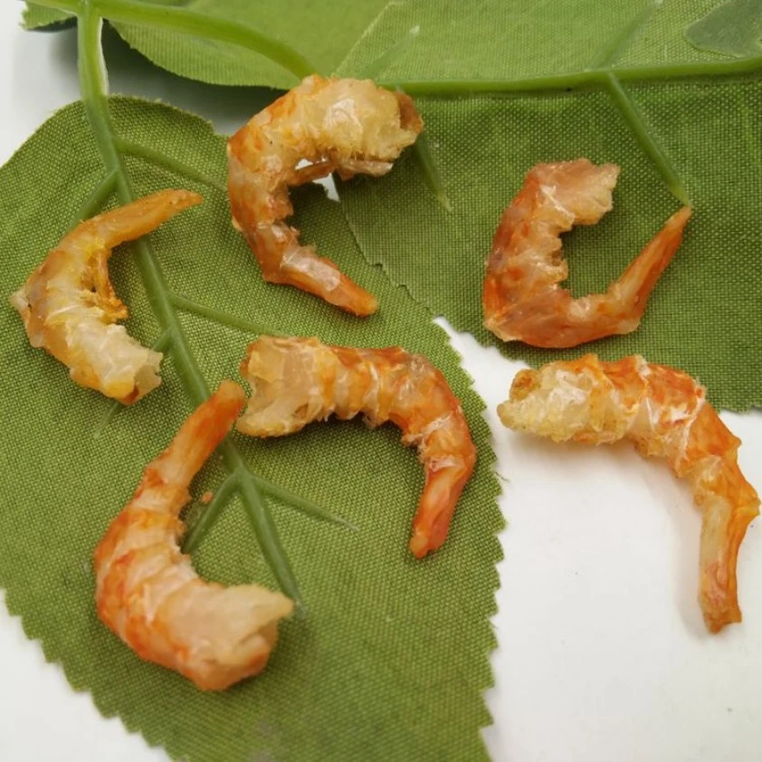 北海特产淡干金钩海米自晒虾米干货商用小虾皮开洋虾仁干虾干海鲜