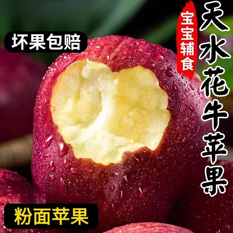 【产地直发】甘肃天水花牛苹果国产红蛇果可放粉面刮泥带箱3/5/10斤