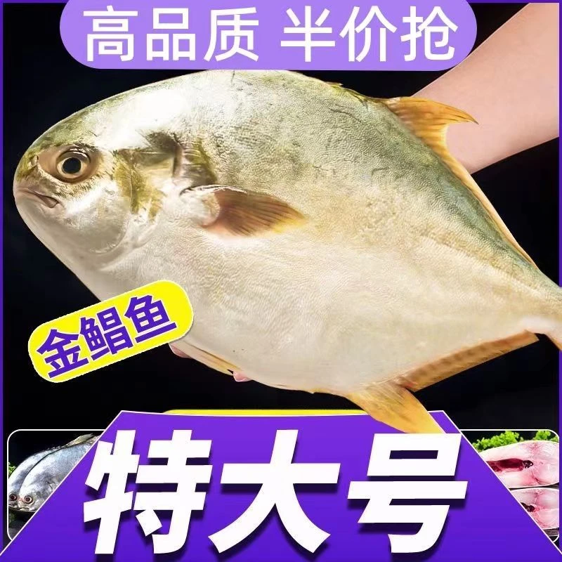 金鲳鱼特大号鲳鱼5斤肉厚顺丰包邮高品质营养深海海捕捕捞