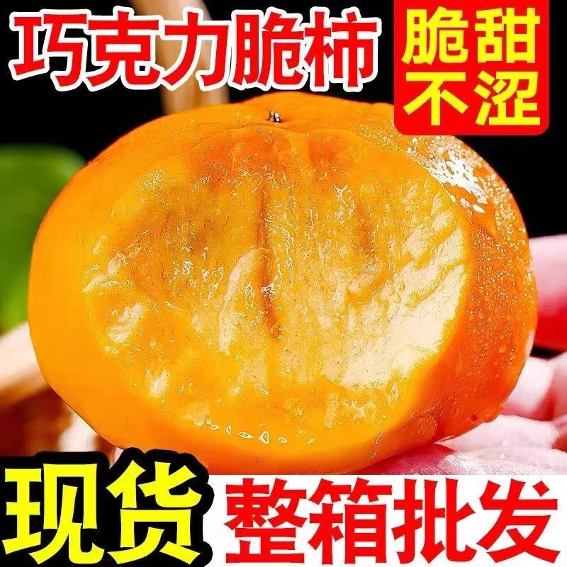 【彩箱发货】陕西阳丰脆柿水果新鲜当季整箱应季大果巧克力甜柿子