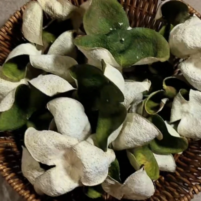 【2024年老树青皮  广西浦北茶枝柑 】 源头厂商