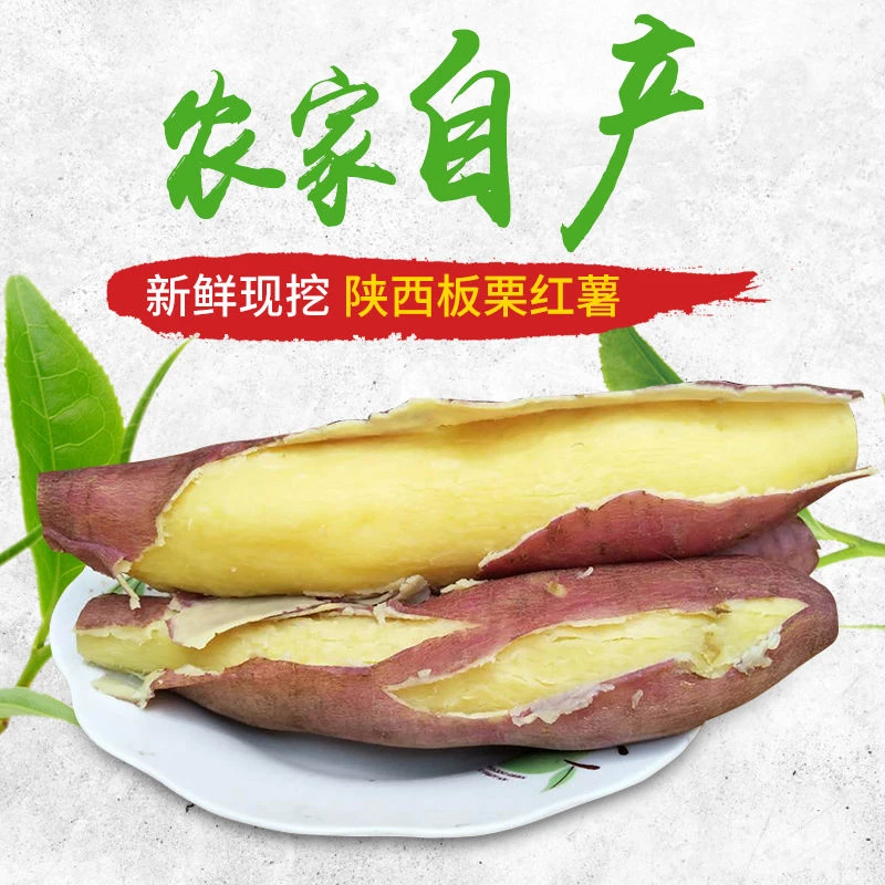 正宗陕西临潼板栗红薯沙地板栗薯农产品 老少皆宜3斤5斤9斤包邮