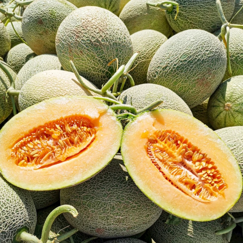 陕西新鲜水果新疆西州沙漠哈密瓜2斤5斤8斤