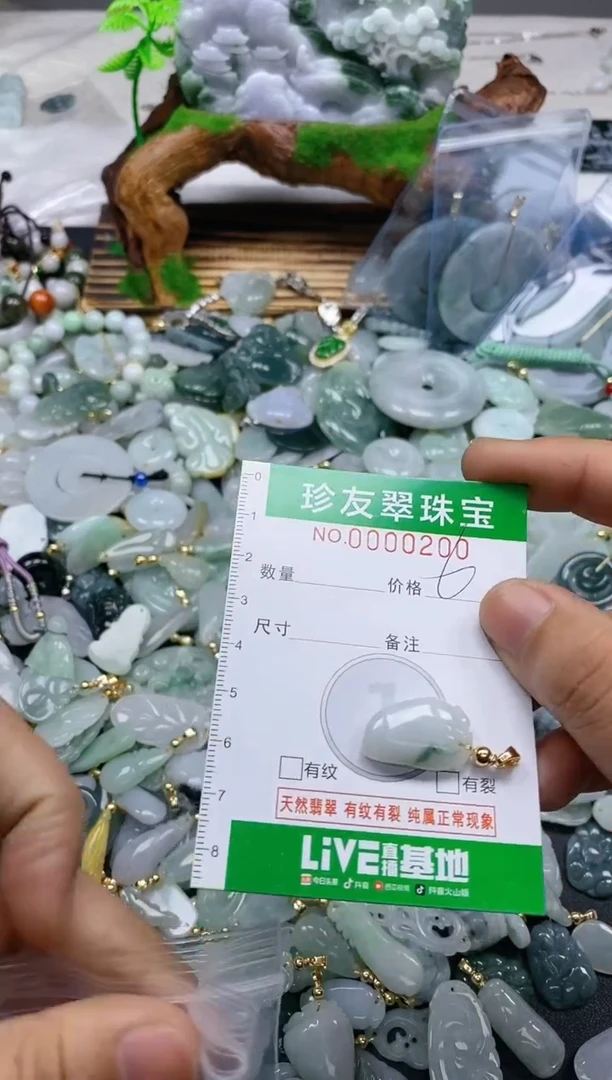 【闪购商品】翡翠颈饰未镶嵌0000200