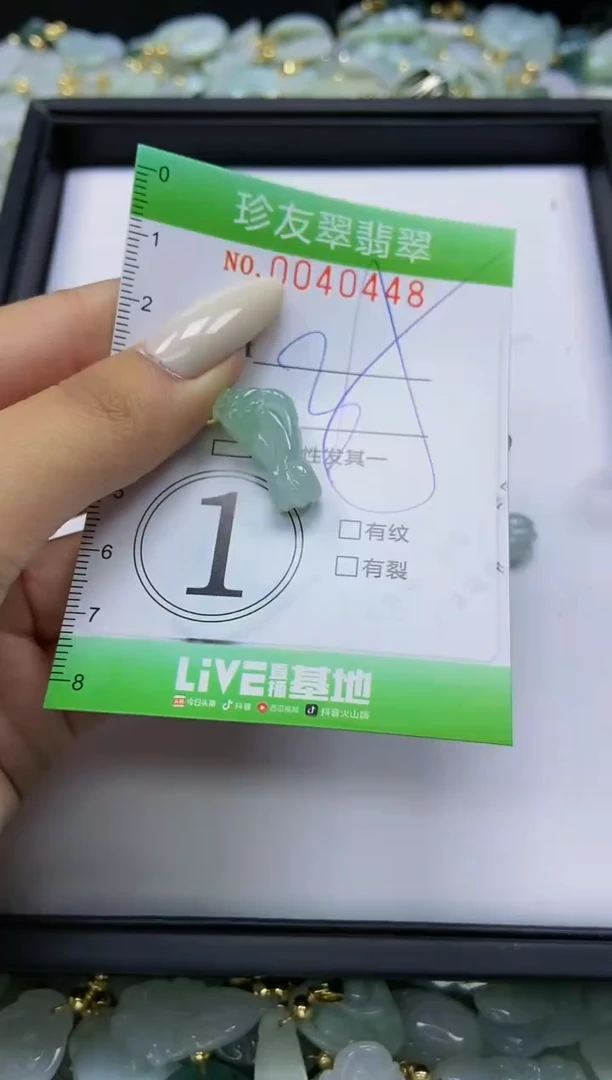 【闪购商品】翡翠颈饰未镶嵌闪购0040448
