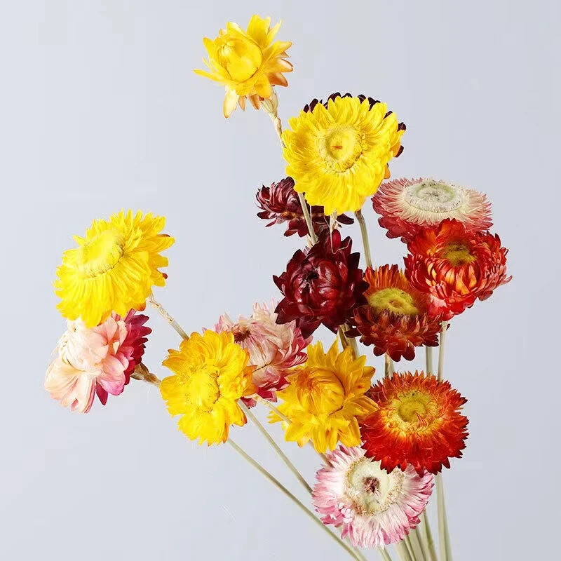 永生干花搭配链接